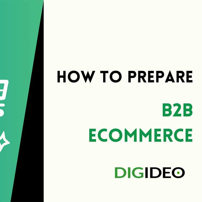 How to prepare B2B eCommerce business, B2B online shop