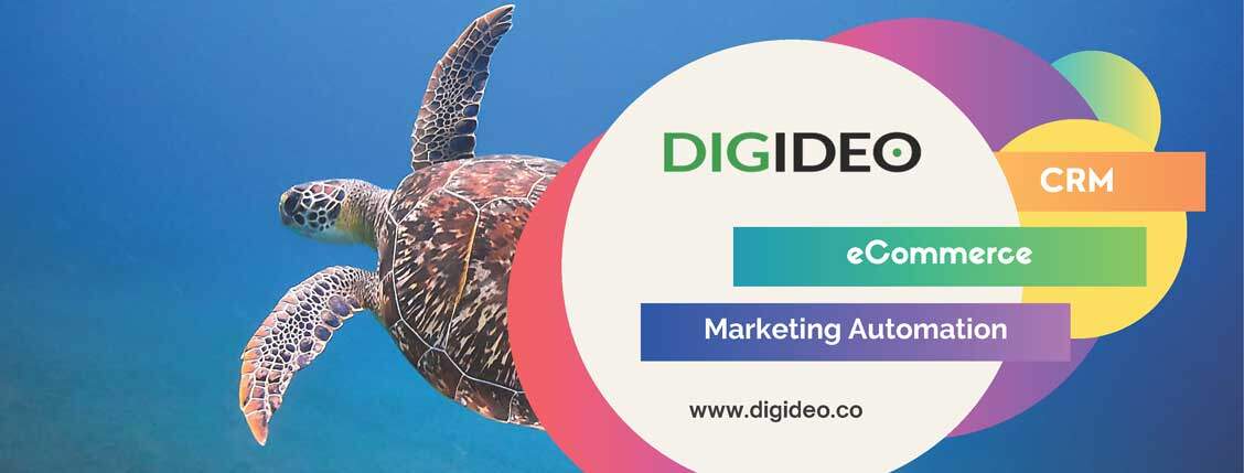 Digideo - About us